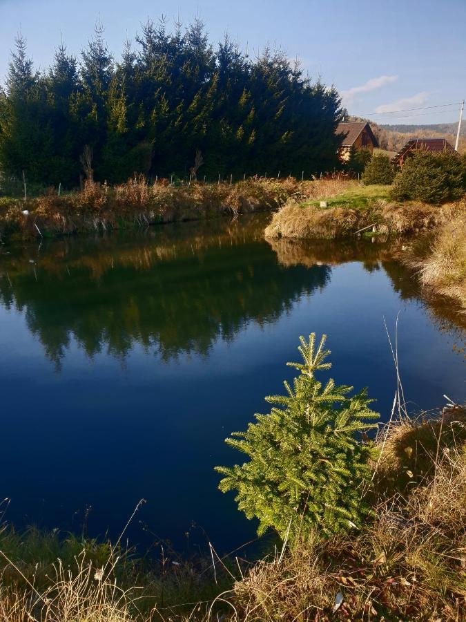 Agroturystyka Swierki Lubawka Exterior foto